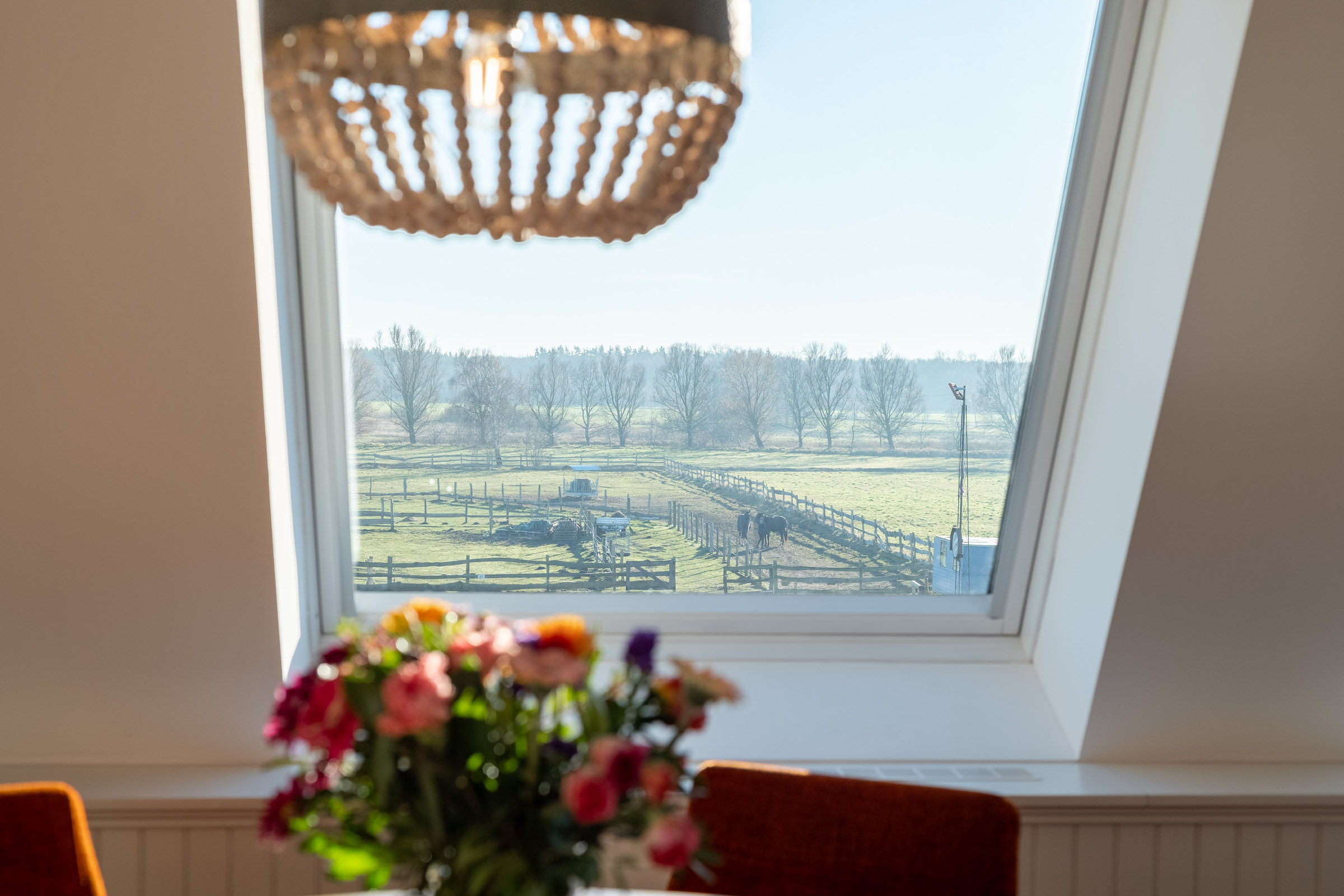 Ferienwohnung Alex auf dem Darß – Bild 4