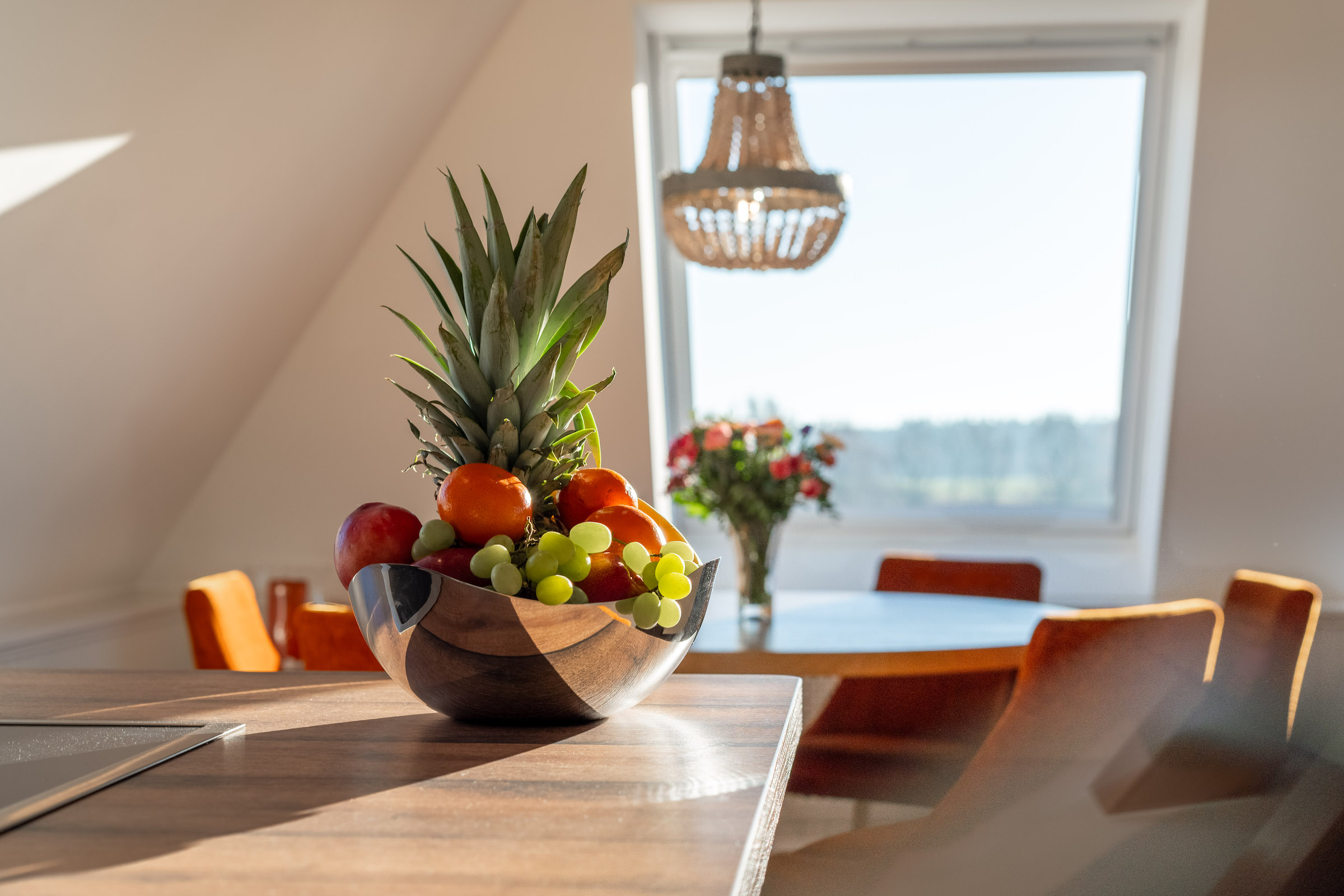 Ferienwohnung Alex auf dem Darß – Bild 7